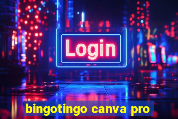 bingotingo canva pro